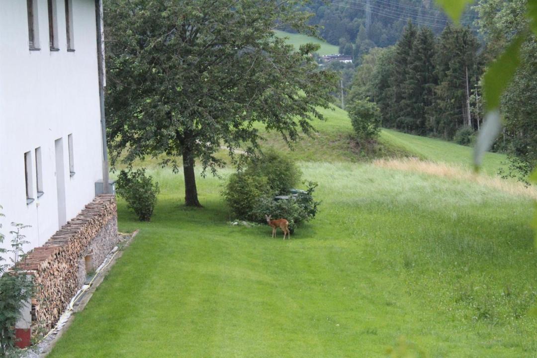 Photo of Others in Kramsach