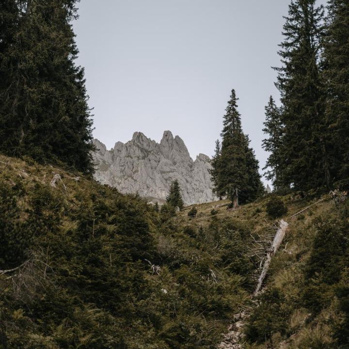 Photo of Others in Muehlbach Am Hochkoenig