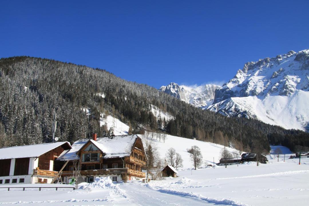Photo of Others in Schildlehen