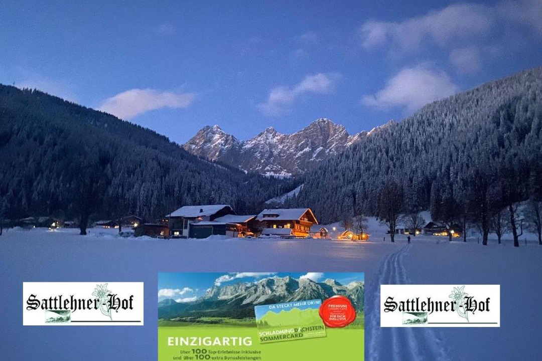 Photo of Others in Schildlehen