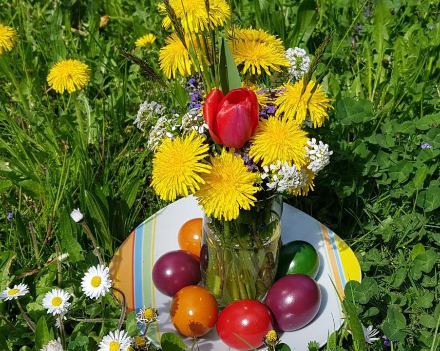 Photo of Outdoor in Altach