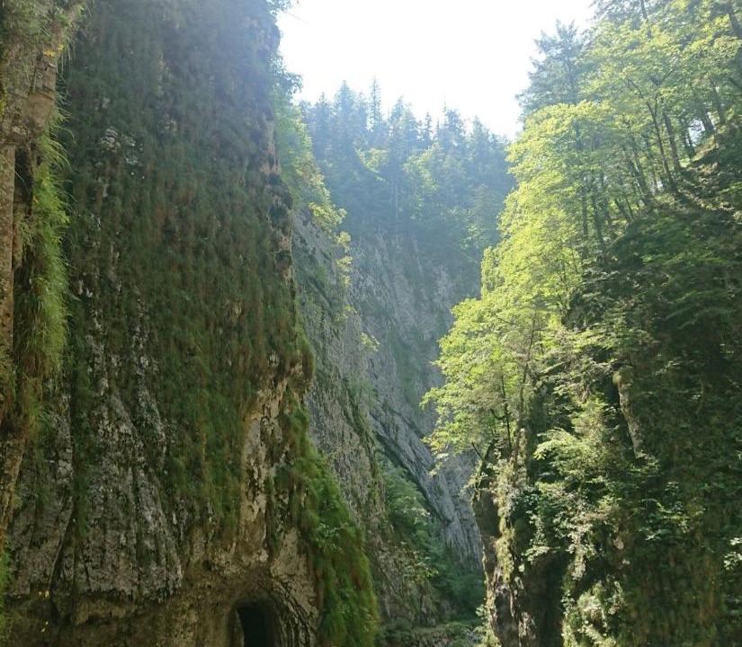 Photo of Others in Mauthen