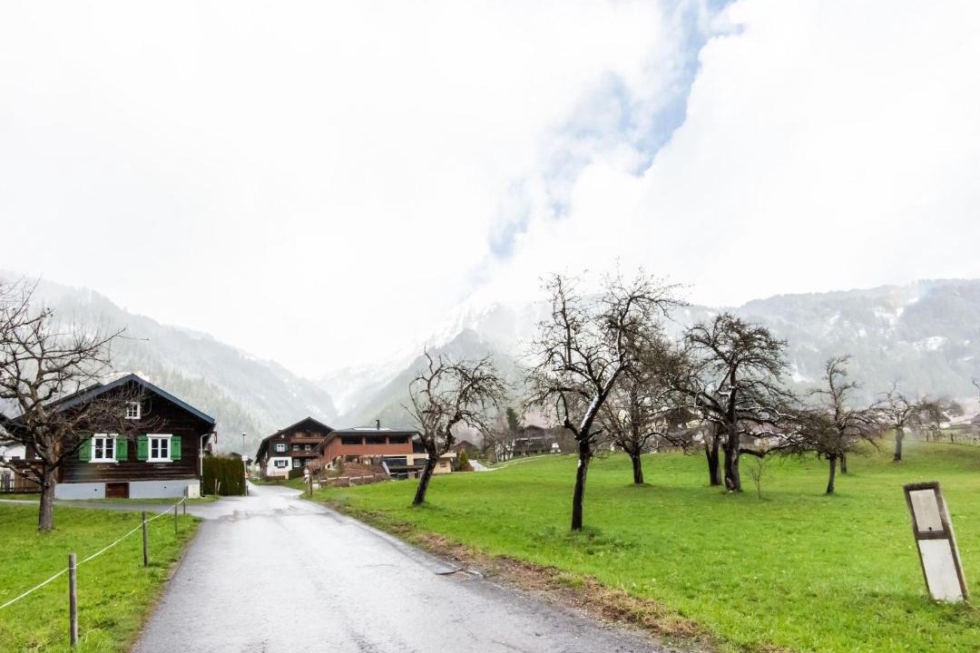 Photo of Others in Sankt Gallenkirch