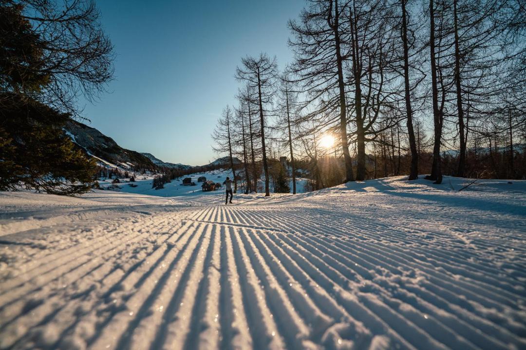 Photo of Others in Bad Mitterndorf