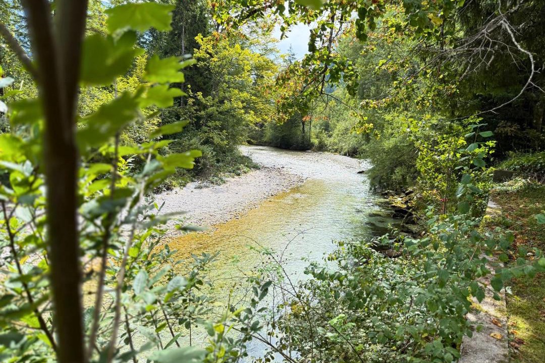 Photo of Others in Gruenau im Almtal