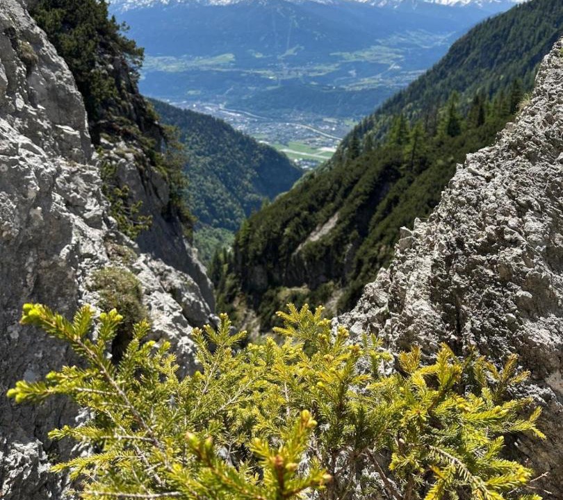 Photo of Others in Pettnau