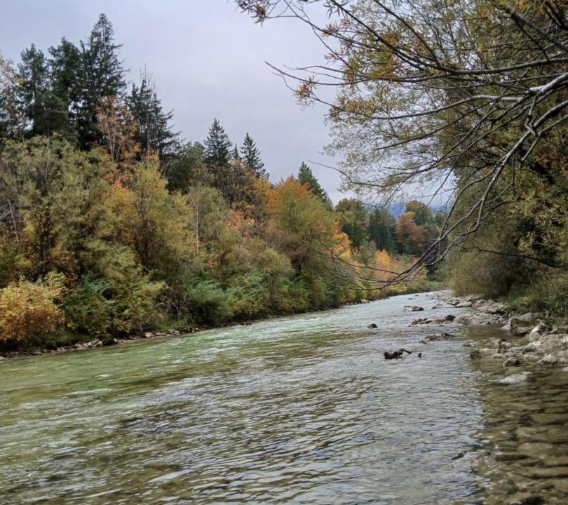 Photo of Others in Bad Ischl