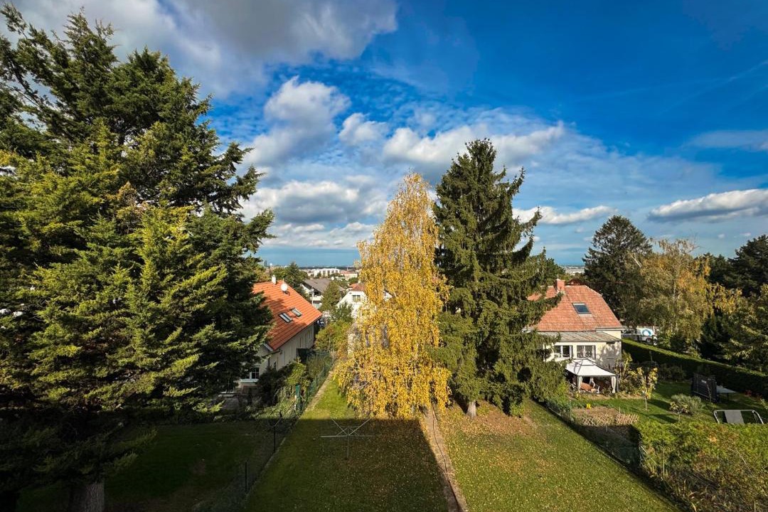 Photo of Others in Favoriten