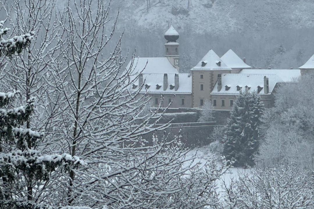 Photo of Others in Weissenbach an der Triesting