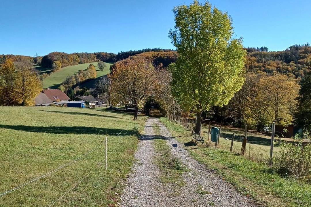 Photo of Others in Weissenbach an der Triesting