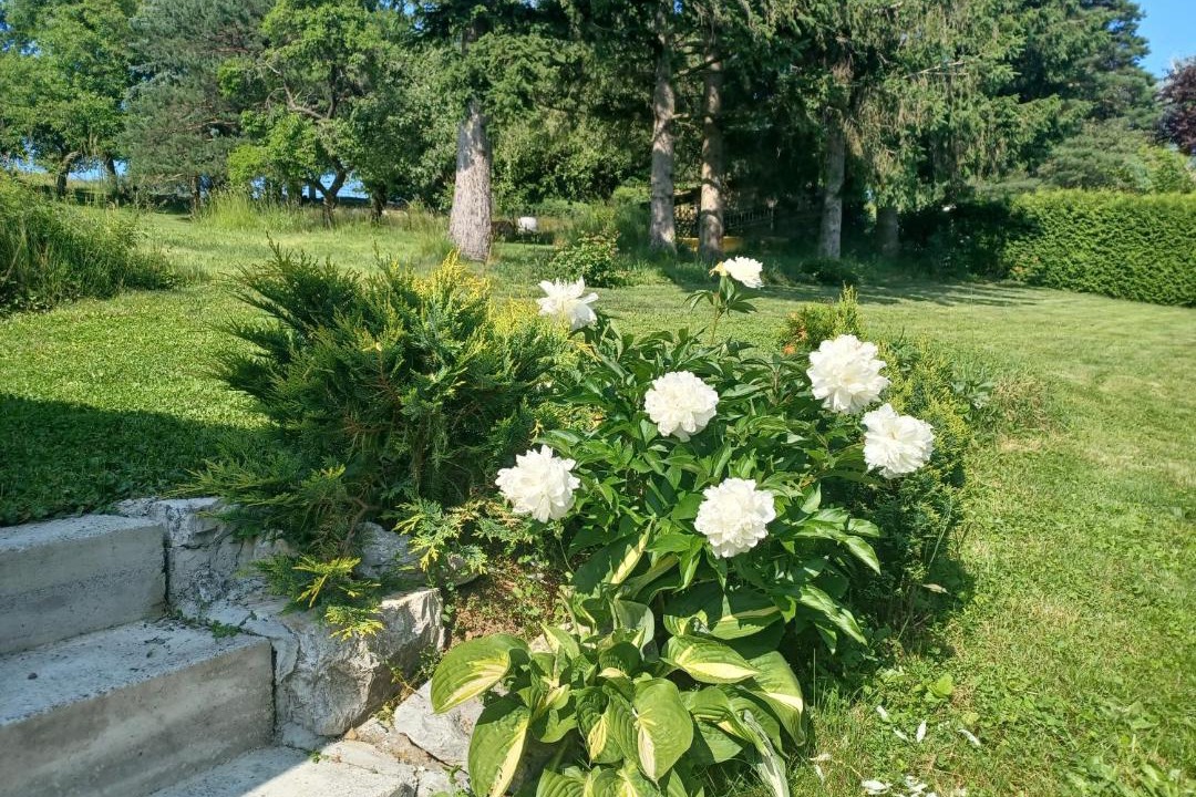 Photo of Others in Weissenbach an der Triesting