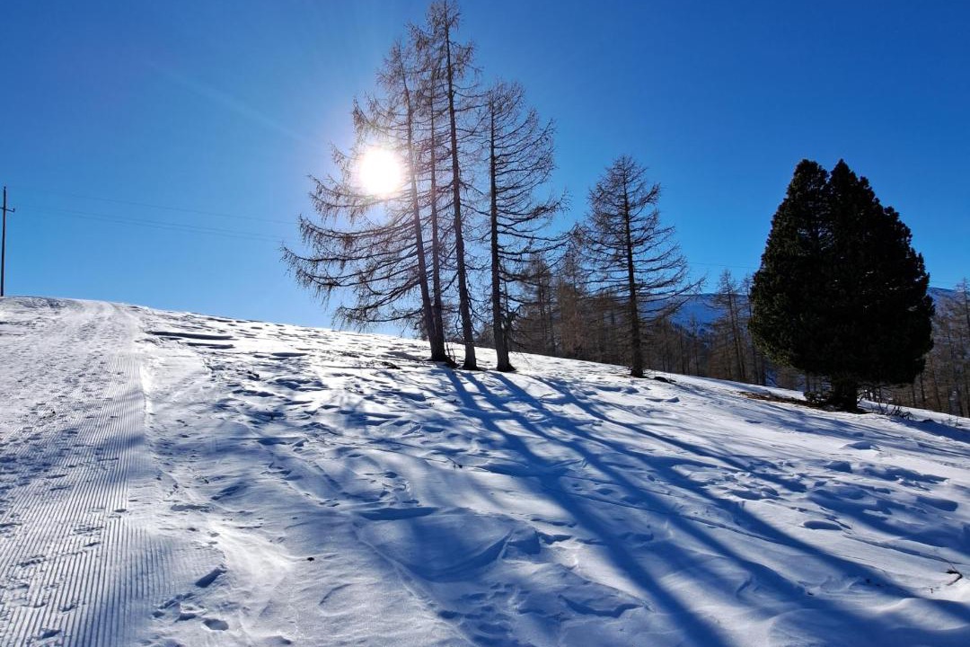 Photo of Others in Reichenau