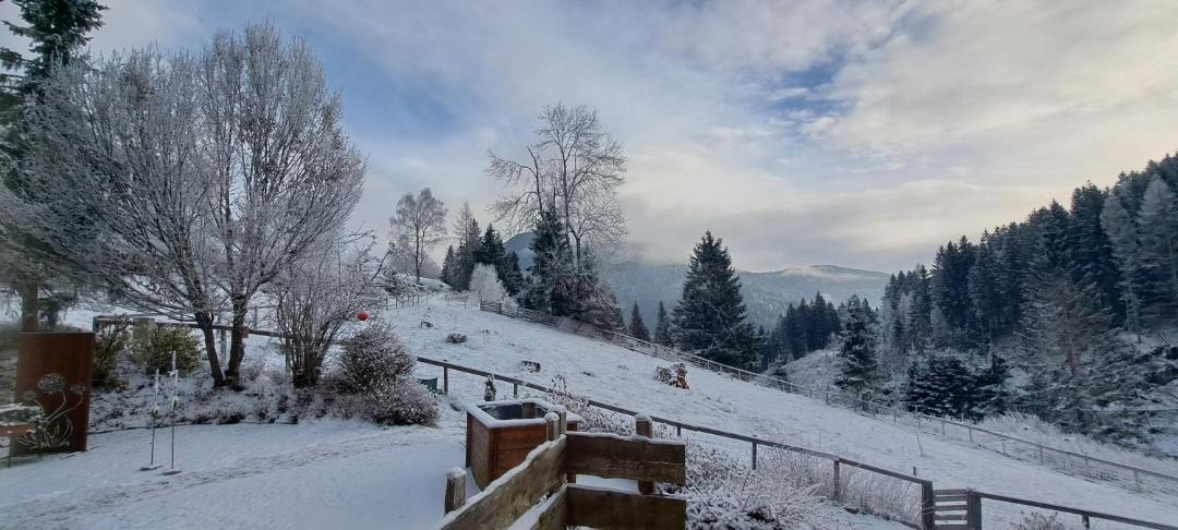 Photo of Others in Reichenau