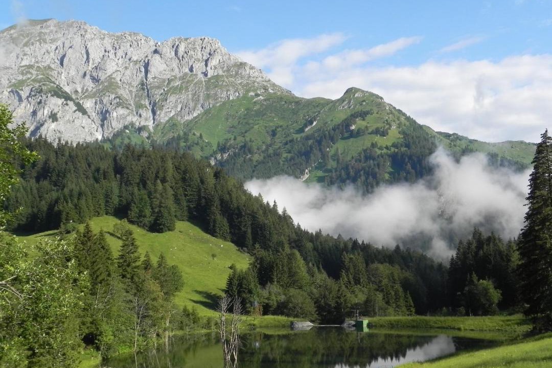Photo of Others in Tropolach