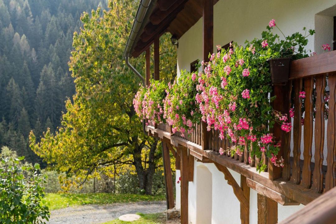 Photo of Patio Balcony in Eberstein