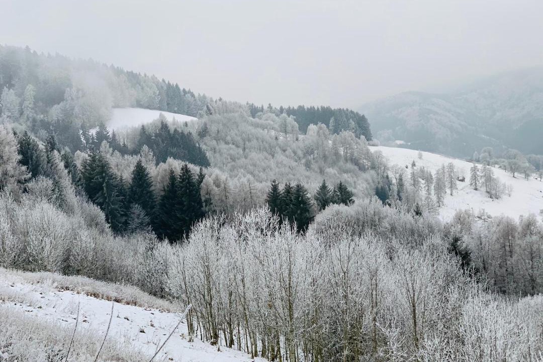 Photo of Others in Neukirchen bei Altmunster