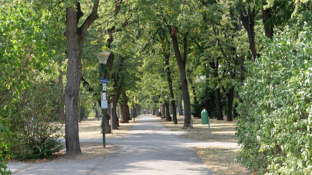 Photo of Others in Wiener Neustadt