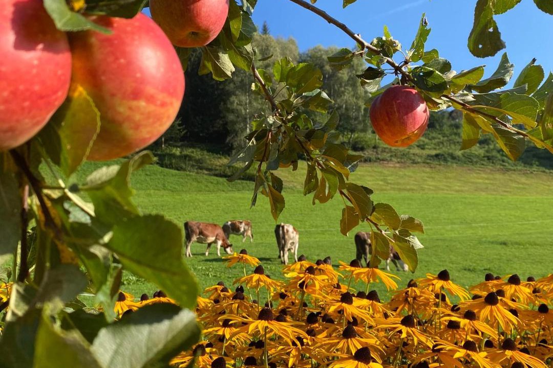 Photo of Others in Muhlbach im Pinzgau