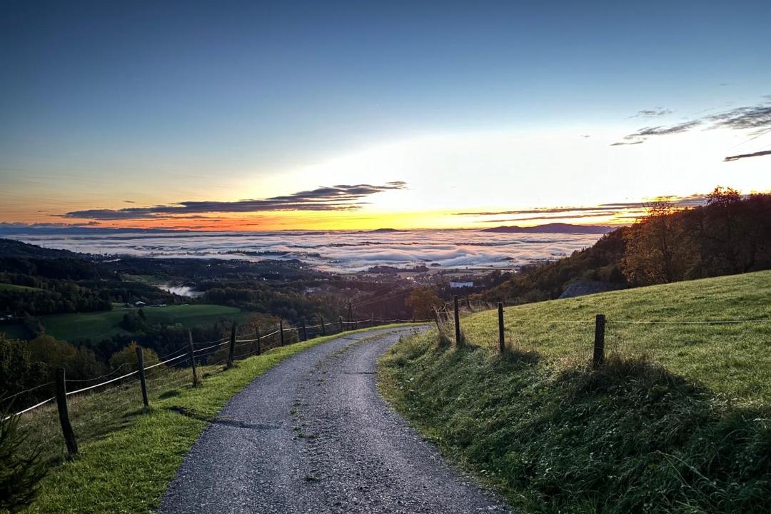 Photo of Others in Schwanberg