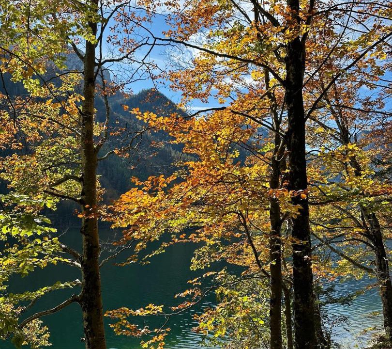 Photo of Others in Ebensee