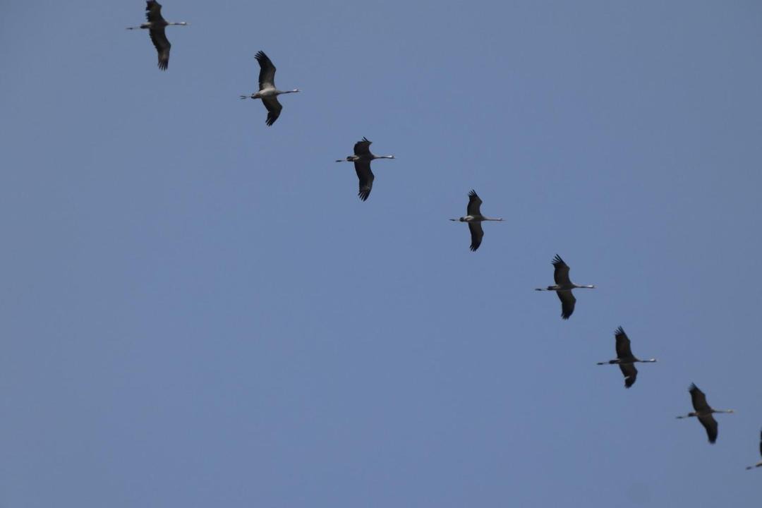 Photo of Others in St. Margarethen