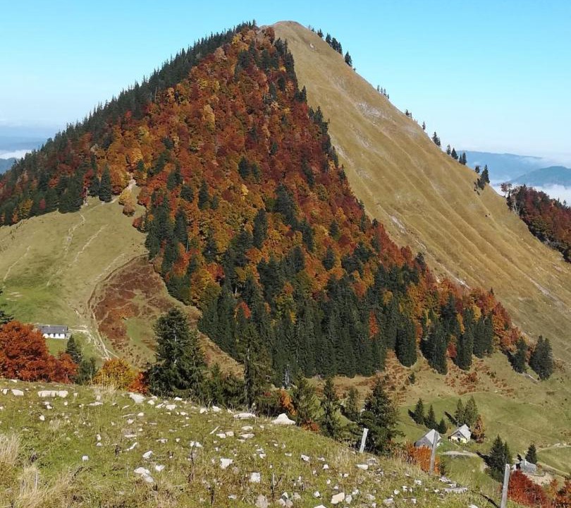 Photo of Others in Faistenau
