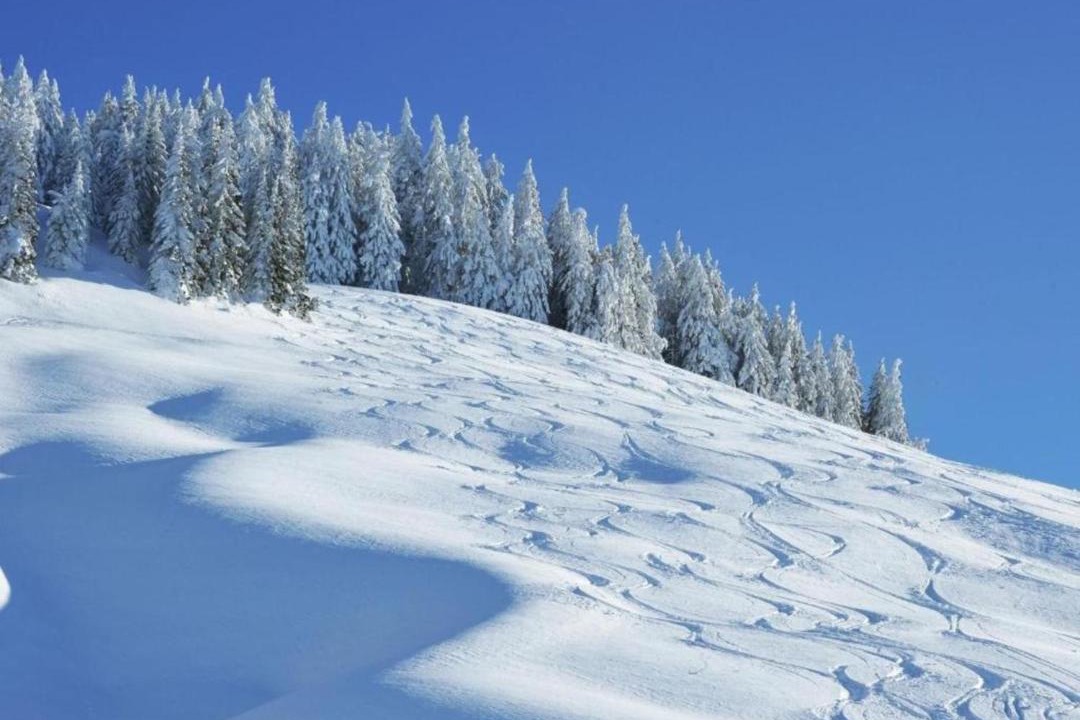 Photo of Others in Saalbach