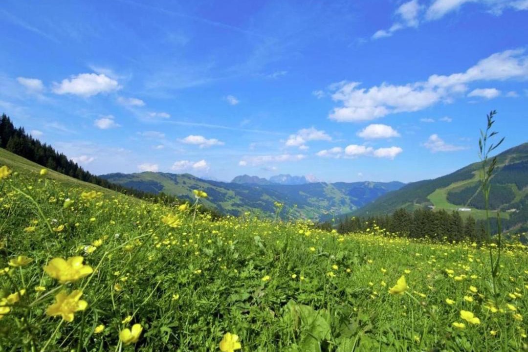 Photo of Others in Saalbach