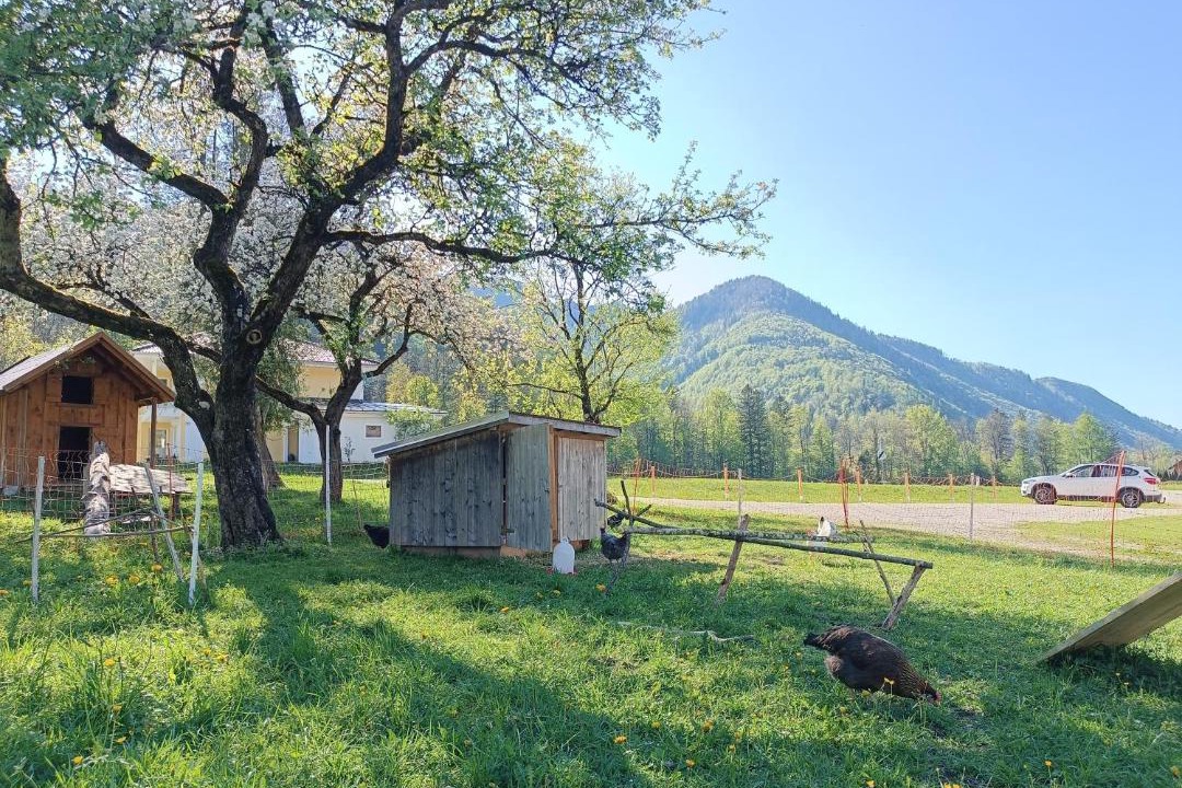 Photo of Others in Hintersee