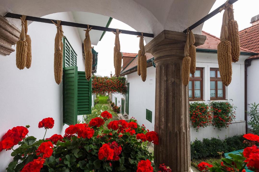 Photo of Others in Morbisch am See