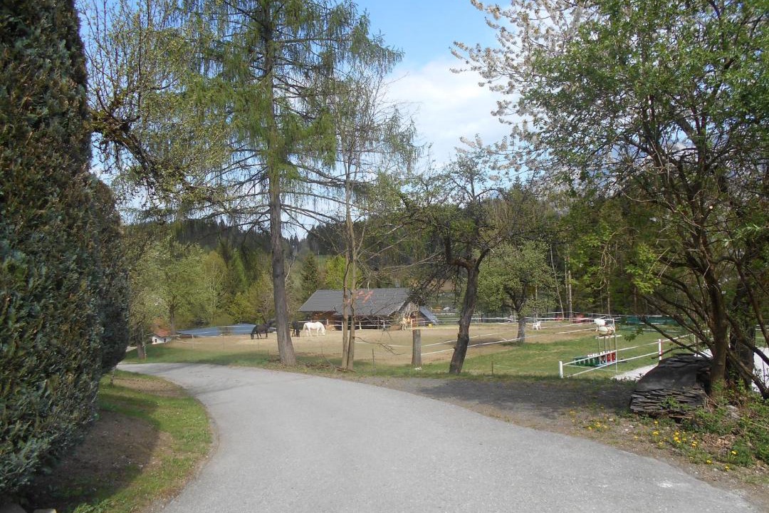 Photo of Others in Arnoldstein
