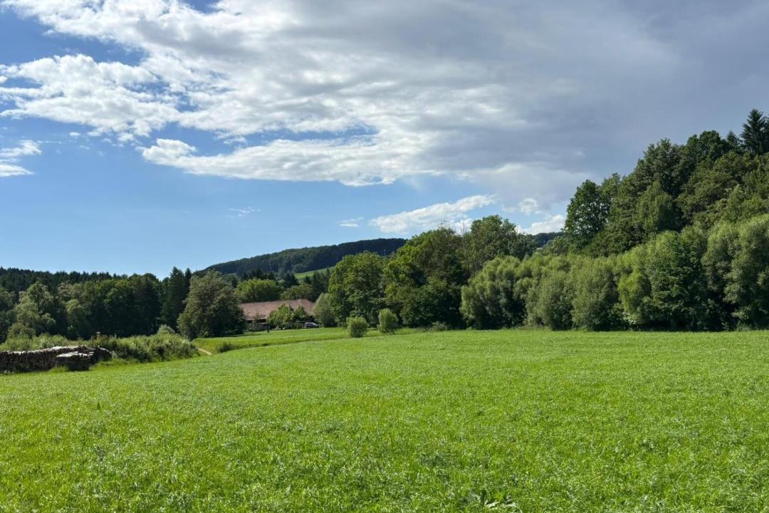 Photo of Others in Auern
