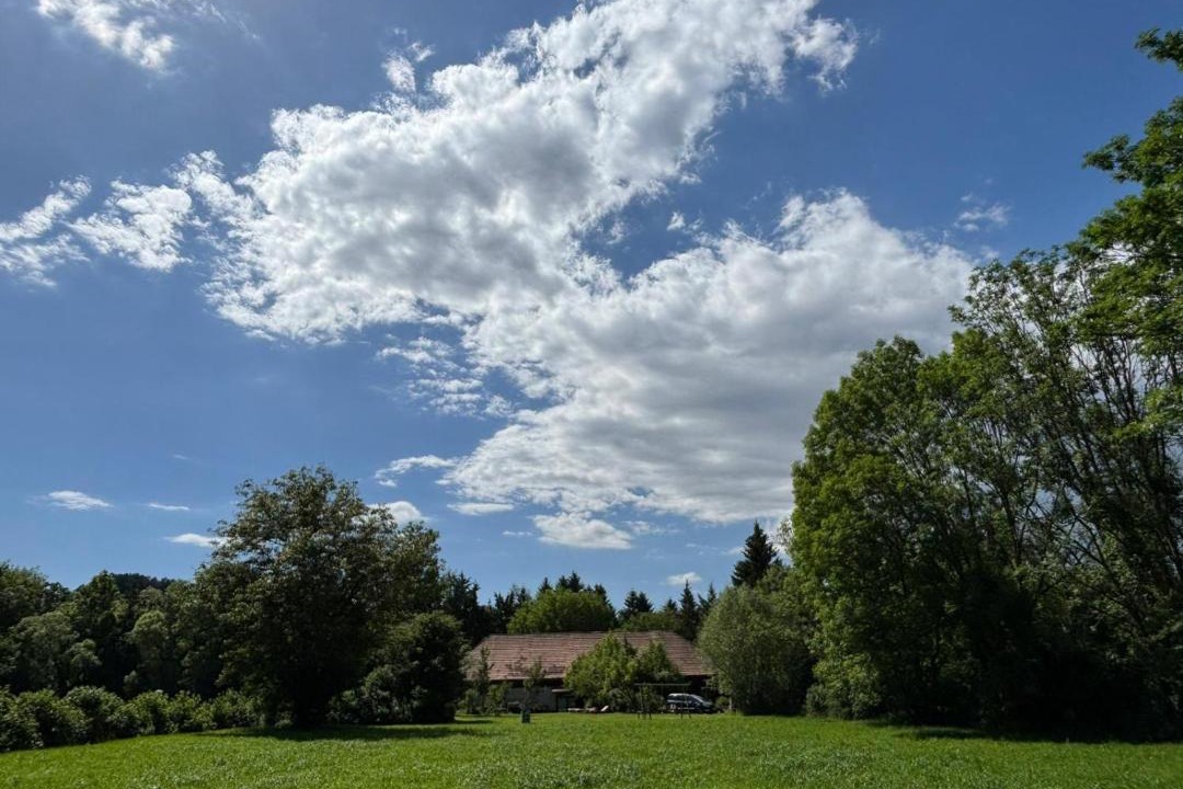Photo of Others in Auern