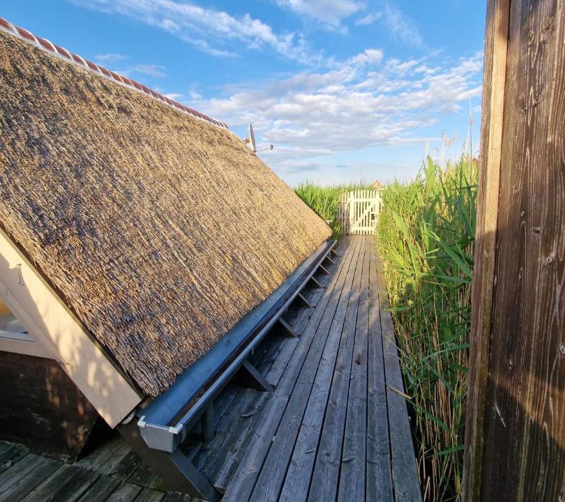 Photo of Others in Rust