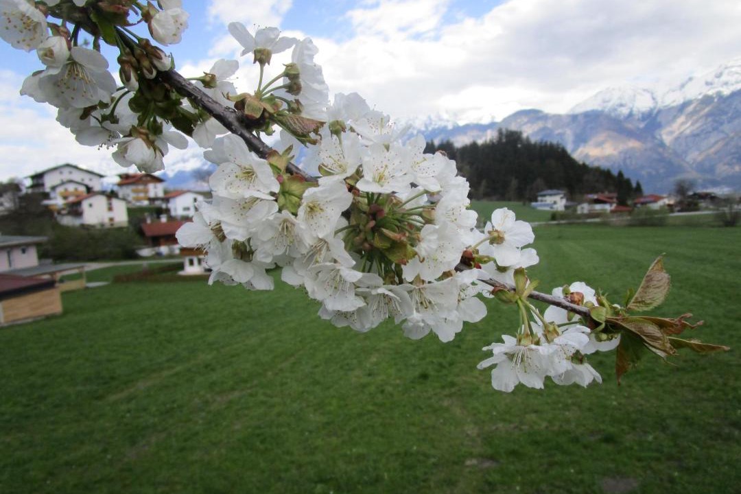Photo of Others in Tulfes