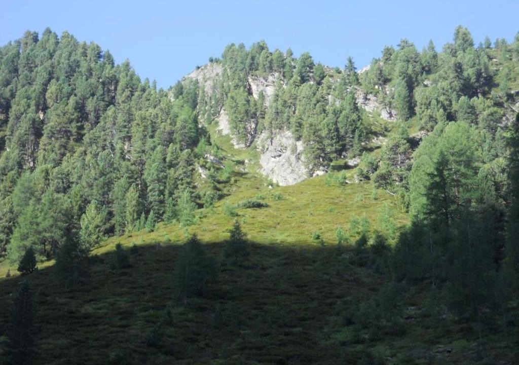 Photo of Others in Niederthai