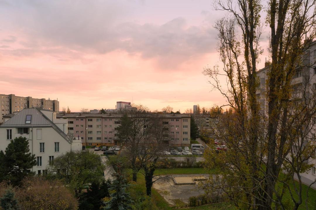 Photo of Others in Donaustadt
