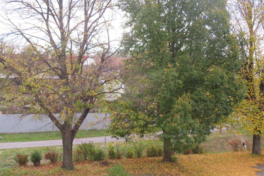 Photo of Others in Kroatisch Geresdorf
