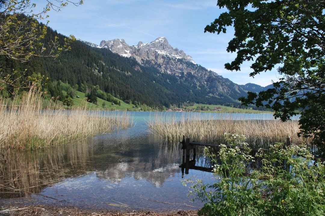 Photo of Others in Haldensee