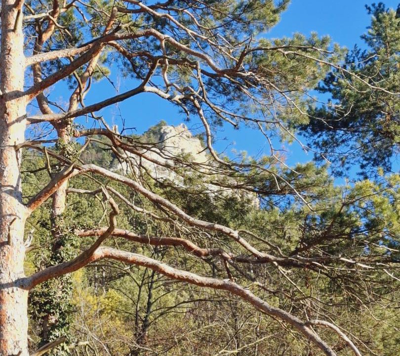 Photo of Others in Seebenstein