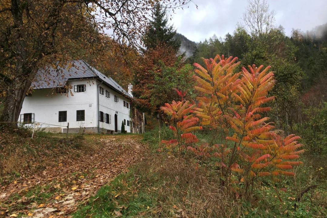 Photo of Others in Molln