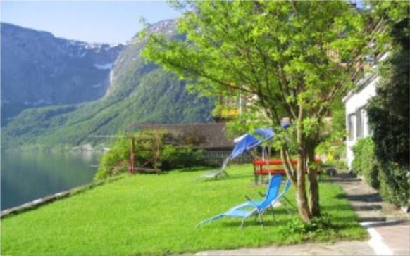 Photo of Others in Hallstatt