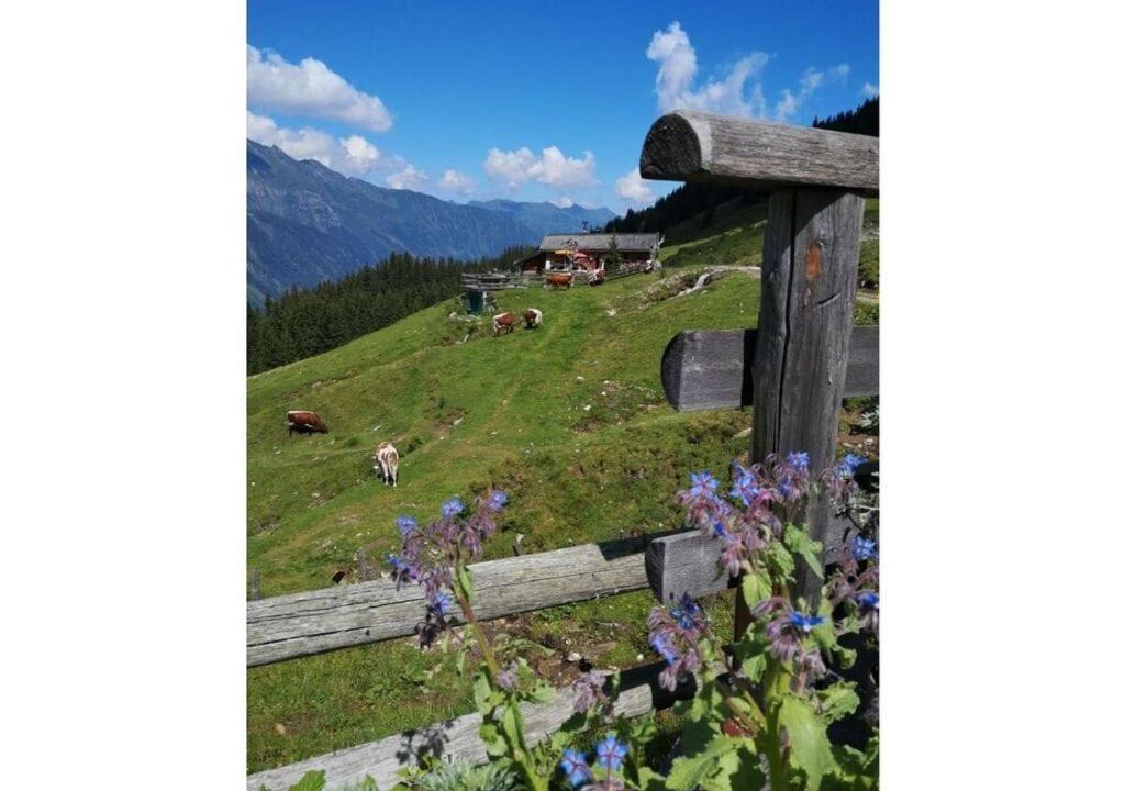 Photo of Others in Eben im Pongau