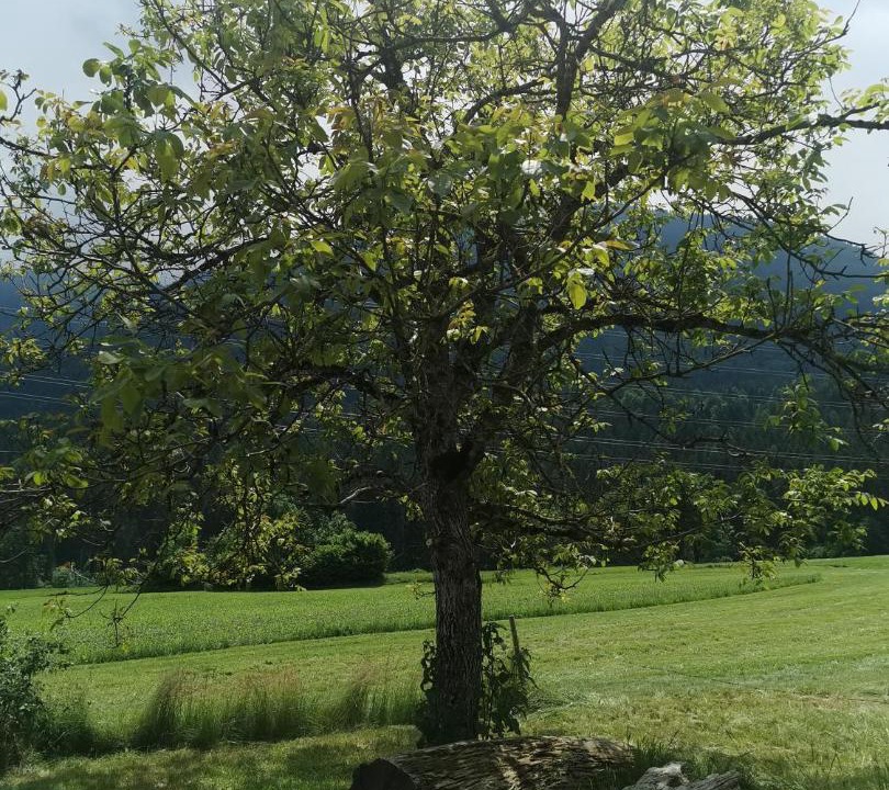 Photo of Others in Kirchbach