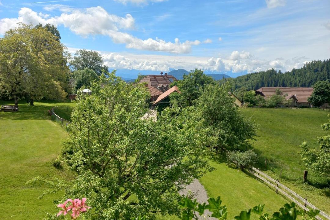 Photo of Others in Frauenstein