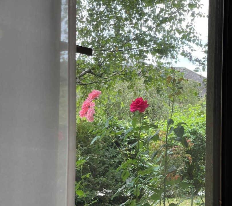 Photo of Others in Krumpendorf am Woerther See