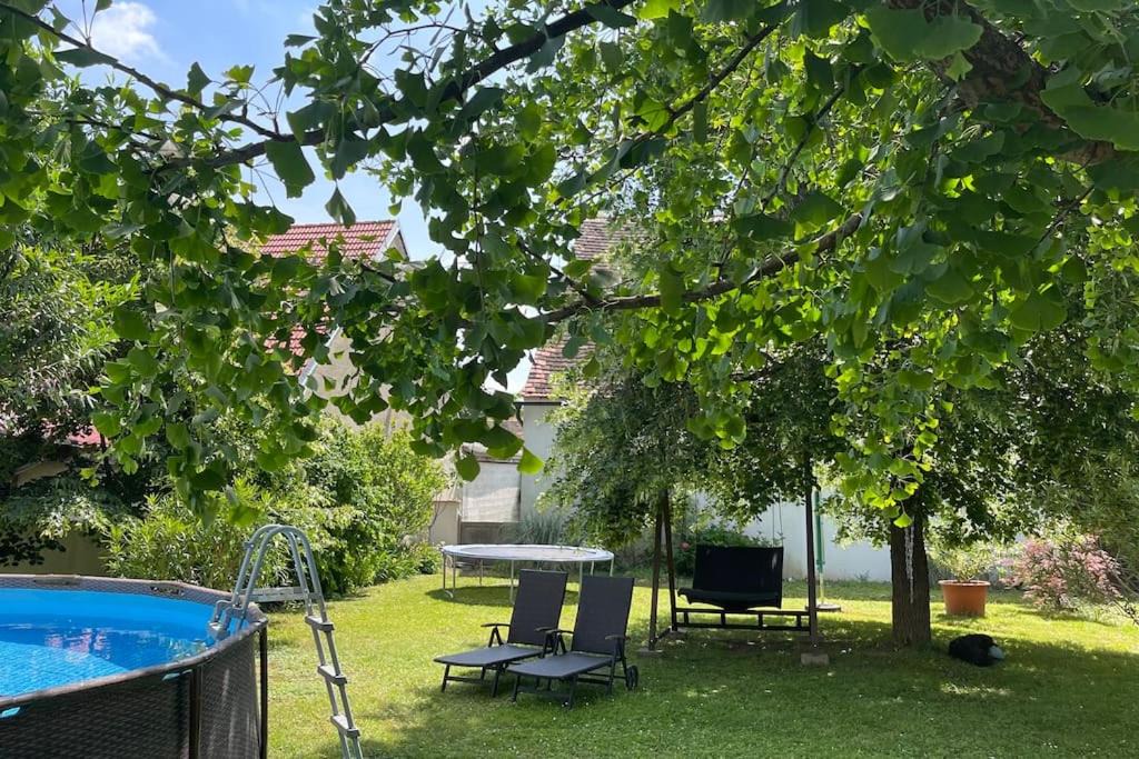 Photo of Others in Zemendorf
