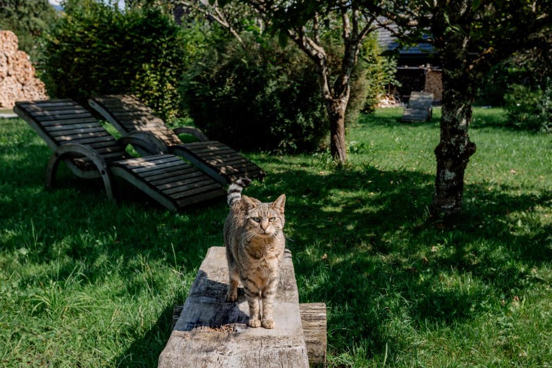 Photo of Others in St. Gilgen
