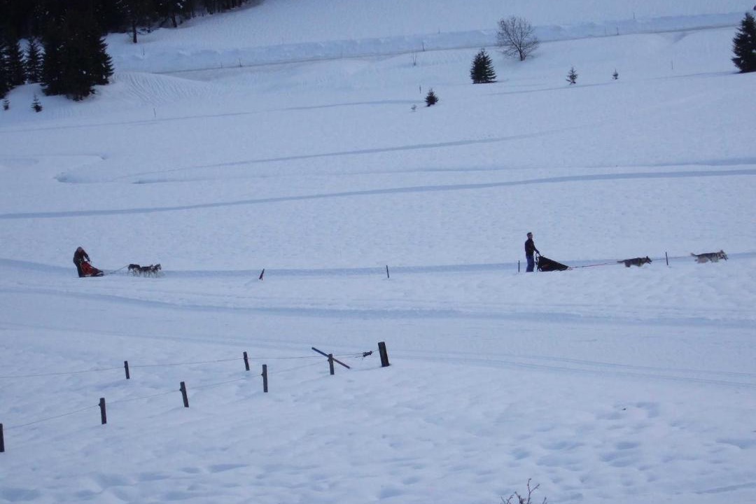 Photo of Others in Nesselwaengle