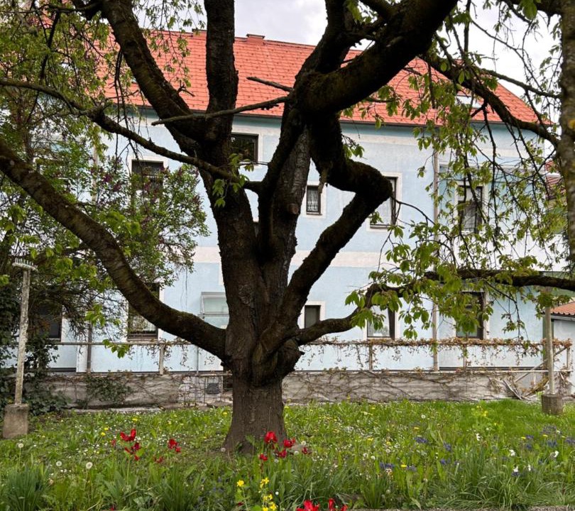 Photo of Others in Knittelfeld